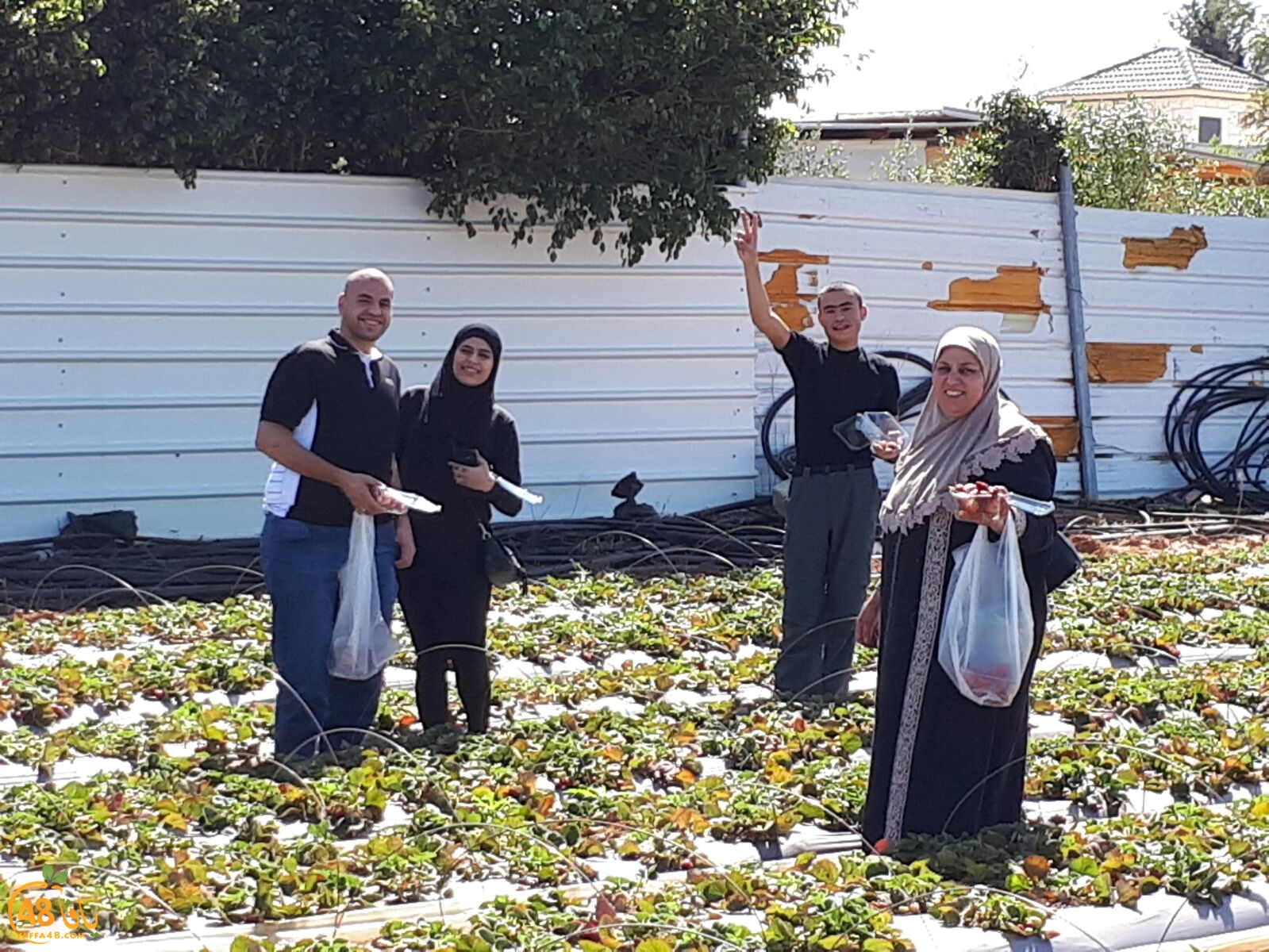 ab7bableaqsaa3 (10).jpg